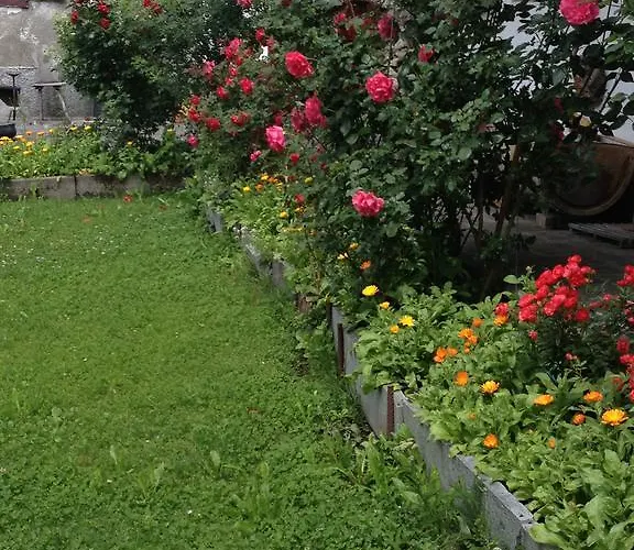 Tgea Sulagliva Apartamento *