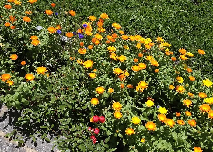 Tgea Sulagliva Appartement Andeer